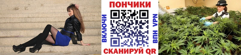 Купить закладку ГАШИШ  Псилоцибиновые грибы  A PVP  Каннабис  МЕФ  Кокаин  Димитровград