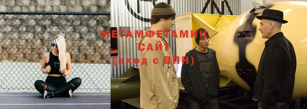 ПСИЛОЦИБИНОВЫЕ ГРИБЫ Дмитриев