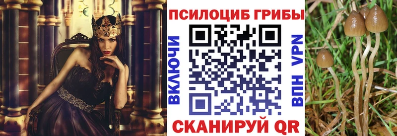 Псилоцибиновые грибы прущие грибы  Купить где  Димитровград 
